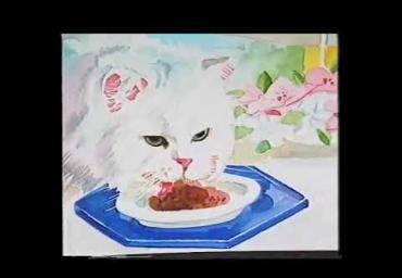 StoryMiao